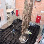 bomen-aanplanten-bestrating-10